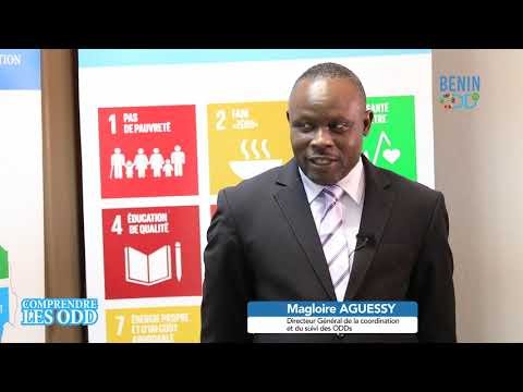 Understanding sustainable development goal – SDG 8 Benin Odd TV