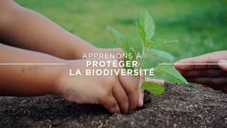 La biodiversité, c’est la vie !