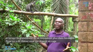 At the monkey sanctuary_Benin Odd TV