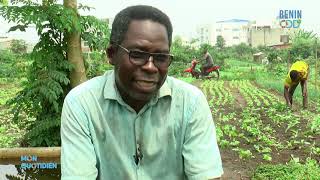 Vegetable farming_Benin Odd TV