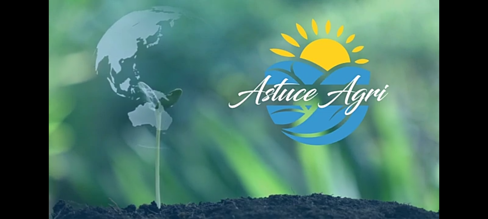 Riziculture Irriguée: Comment pouvons-nous tirer le meilleur des conditions agro-climatiques?